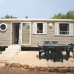 Holacamp * 알부페이라