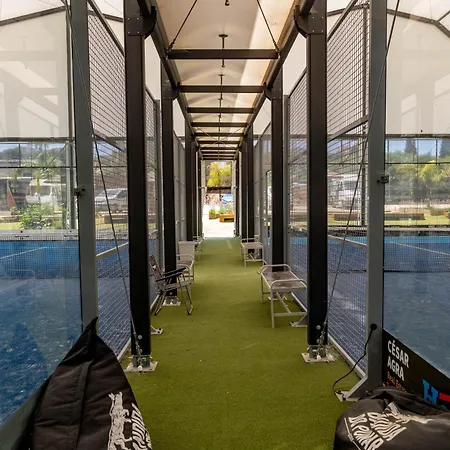 Holacamp アルブフェイラ