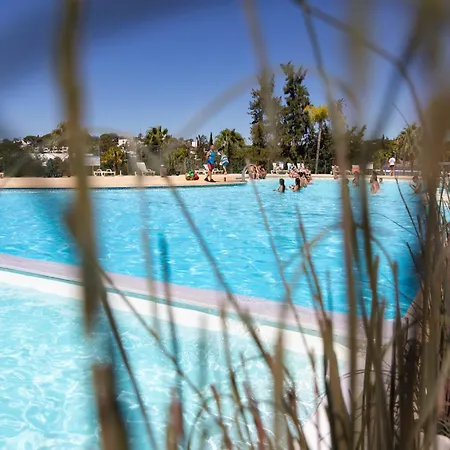 キャンプ場 Holacamp *