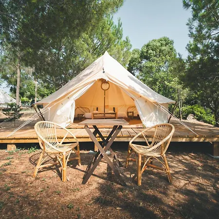 Holacamp アルブフェイラ