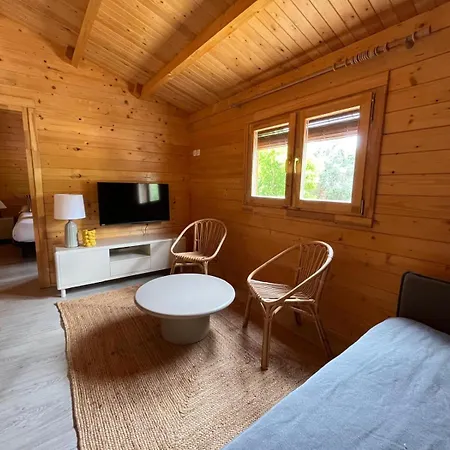 Kamp alanı Holacamp
