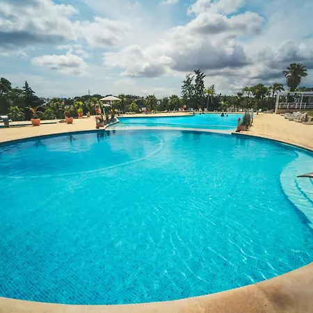 Kamp alanı Holacamp *