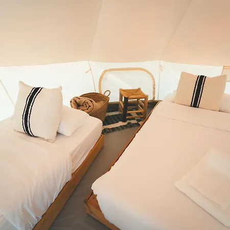 Kamp alanı Holacamp