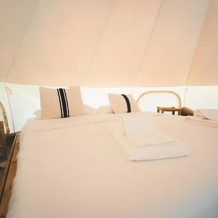 Holacamp Αλμπουφέιρα