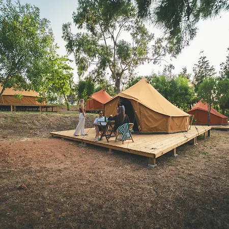 Kamp alanı Holacamp *