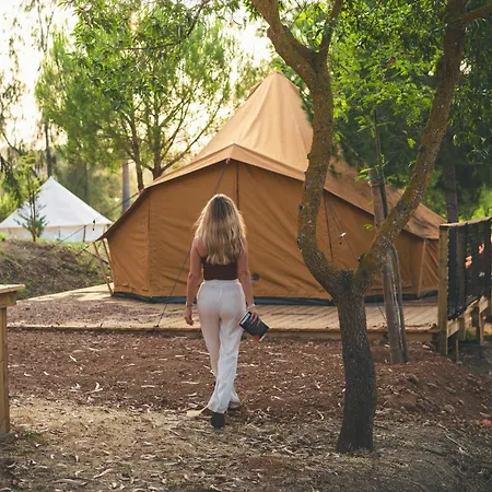 Kamp alanı Holacamp