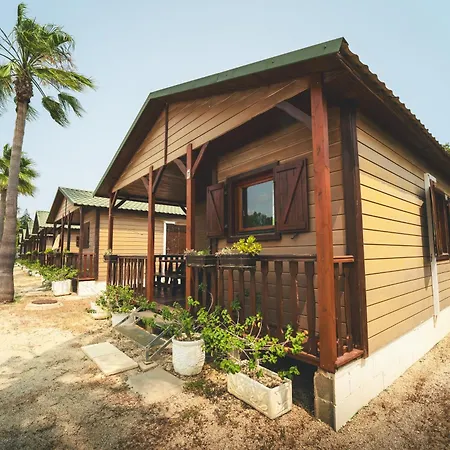 Holacamp Kamp alanı *