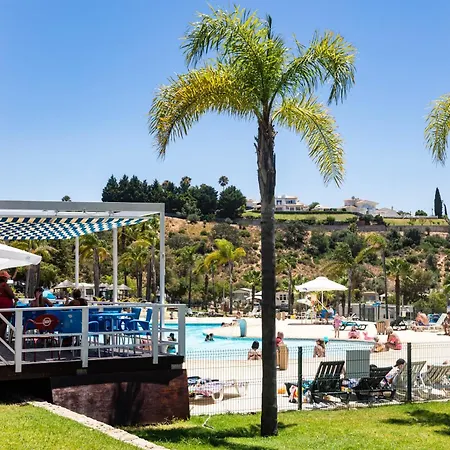 Holacamp * אלבופיירה