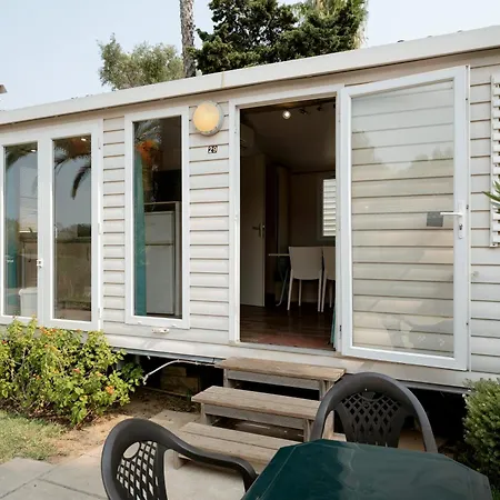 Holacamp אלבופיירה