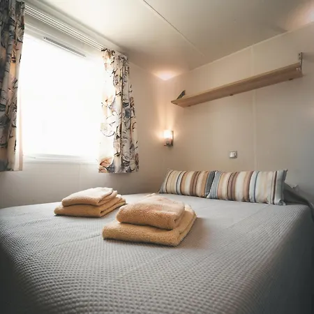 Holacamp * אלבופיירה