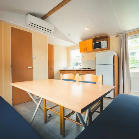 Holacamp * אלבופיירה