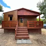 Holacamp Албуфейра