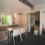 Holacamp * 阿尔布费拉